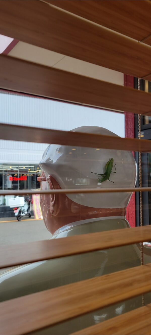 こんなところに